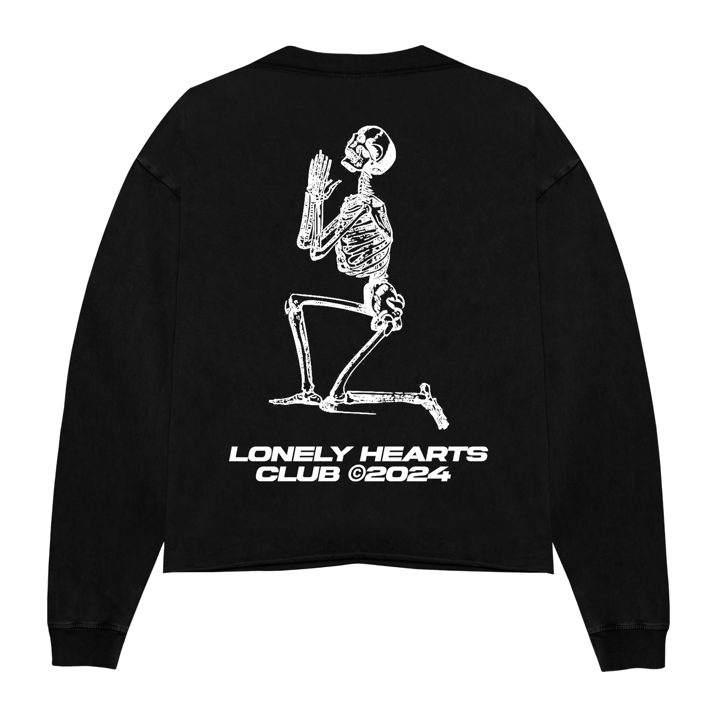 Lonestar Cropped Crewneck Sweatshirt