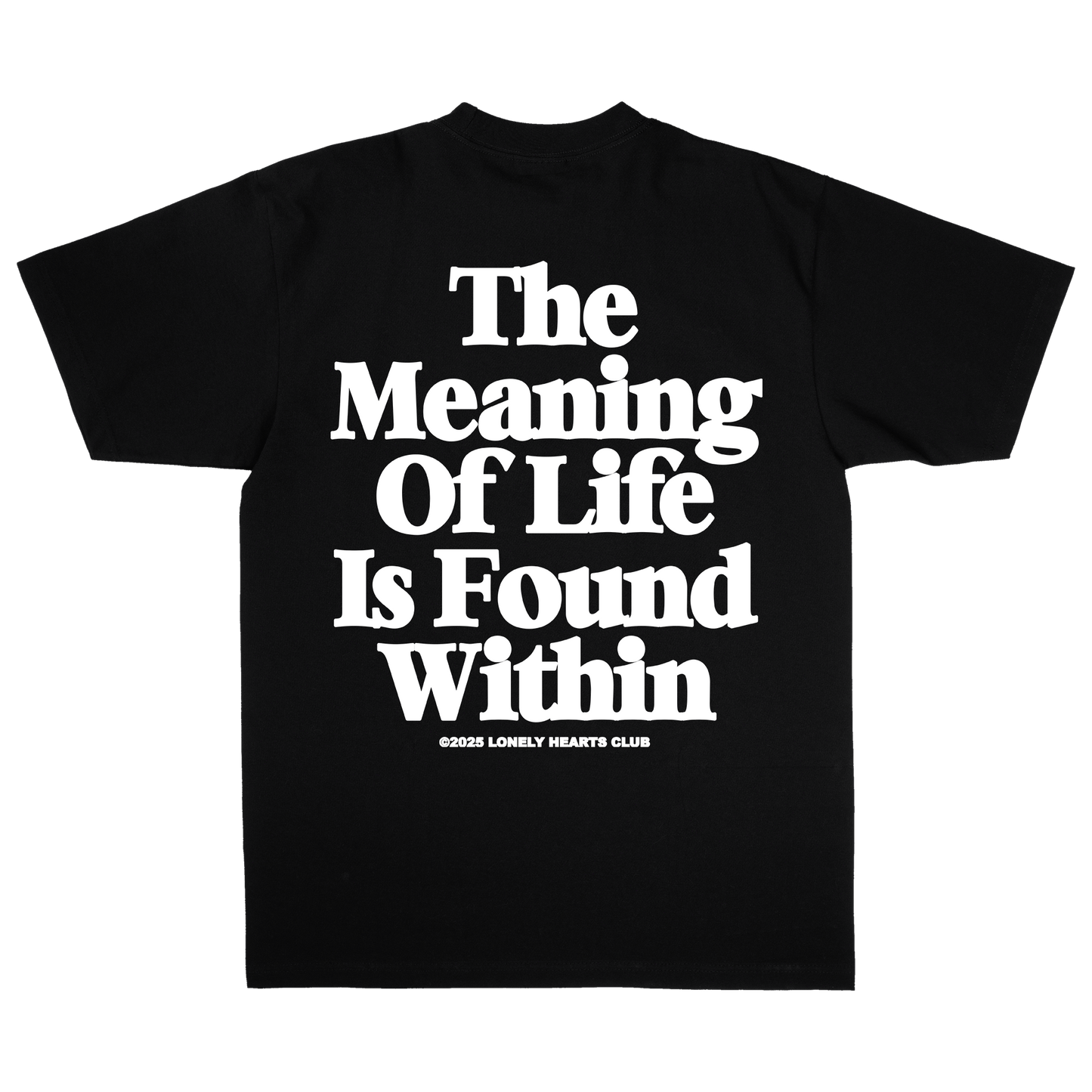 The Meaning Of Life Premium T-Shirt