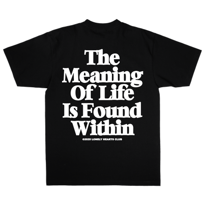 The Meaning Of Life Premium T-Shirt